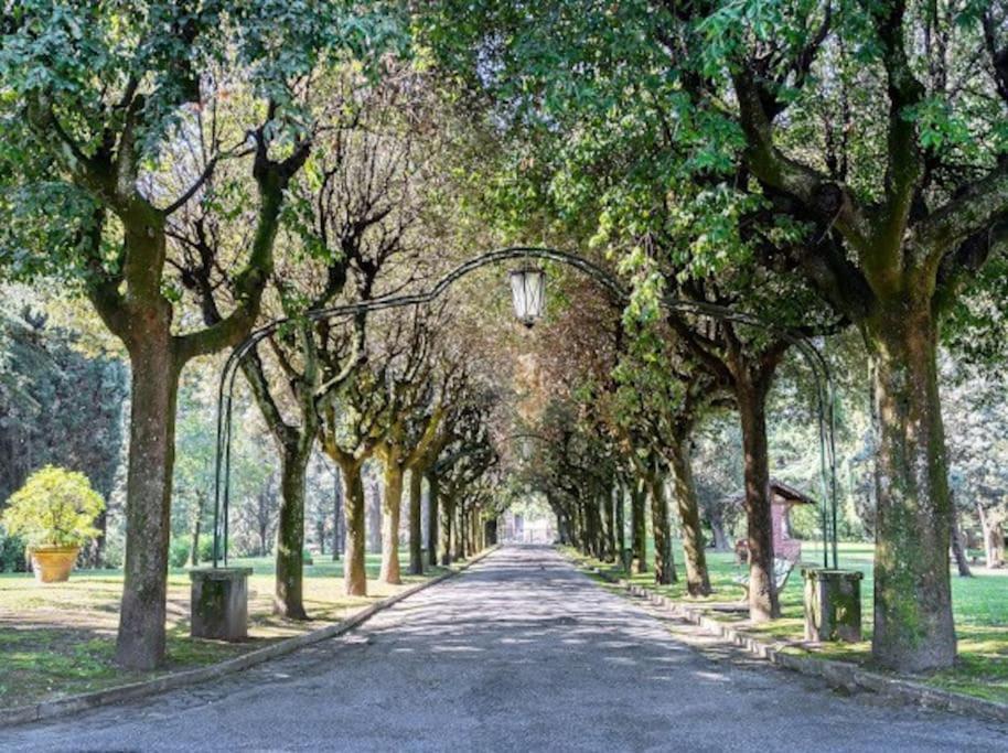Apartamento In
